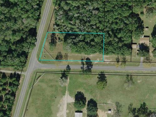 1+ Acre Across From Compass Lake : Alford : Jackson County : Florida
