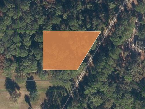 Corner Double Lot in Paradise Lakes : Georgetown : Jackson County : Florida