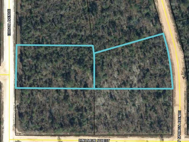 2+ Acre Deep Double Lot Near Lake : Alford : Jackson County : Florida