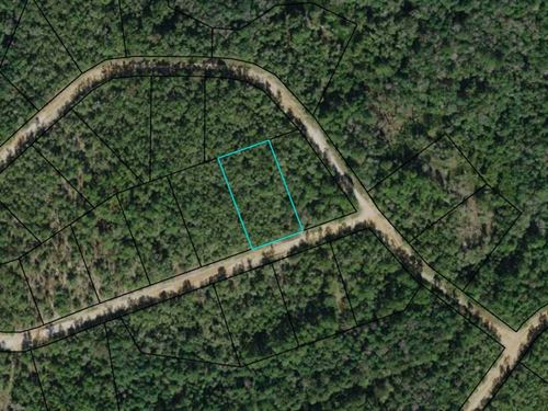 Acre+ in Beautiful Lake Community : Alford : Jackson County : Florida