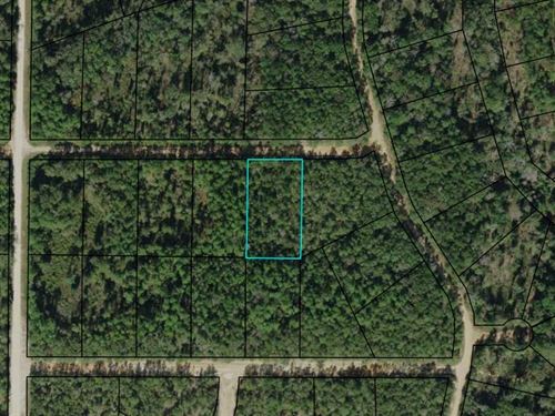 Beautiful Acre+ in Compass Lakes : Alford : Jackson County : Florida