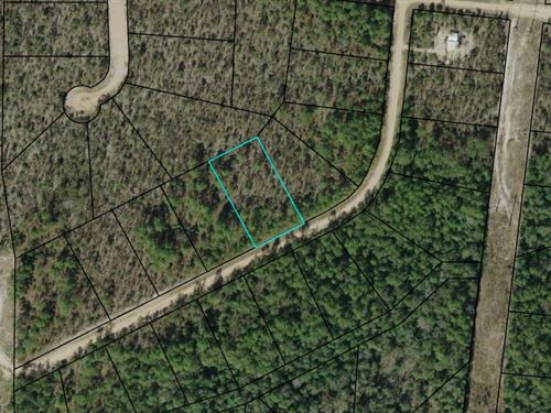 1.14 Acres Minutes From Lake : Alford : Jackson County : Florida
