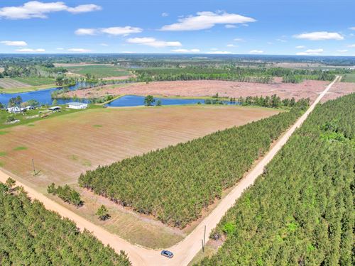 Tract 2, Ocelot Road in Bacon : Alma : Bacon County : Georgia