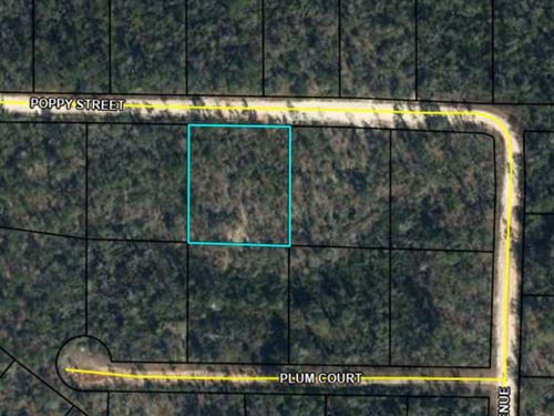 Compass Lake in The Hills Acre+ Lot : Marianna : Jackson County : Florida