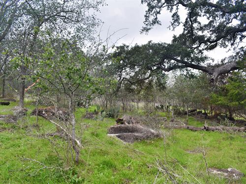 1.8 Acres in Caldwell County : Luling : Caldwell County : Texas