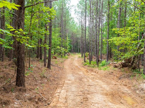 $999 Down, No Credit Check, Offgrid : Lexington : Henderson County : Tennessee