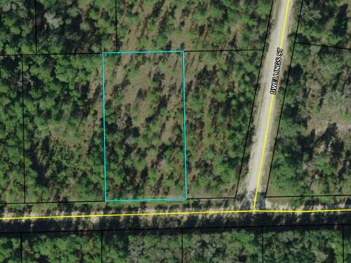 Beautiful Acre+ Near 2 Lakes : Alford : Jackson County : Florida