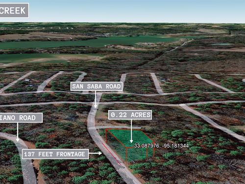 .22 Acre in Mount Vernon, $150 : Mount Vernon : Franklin County : Texas