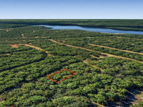 .22 Acre Near Lake Cypress Springs : Mount Vernon : Franklin County : Texas