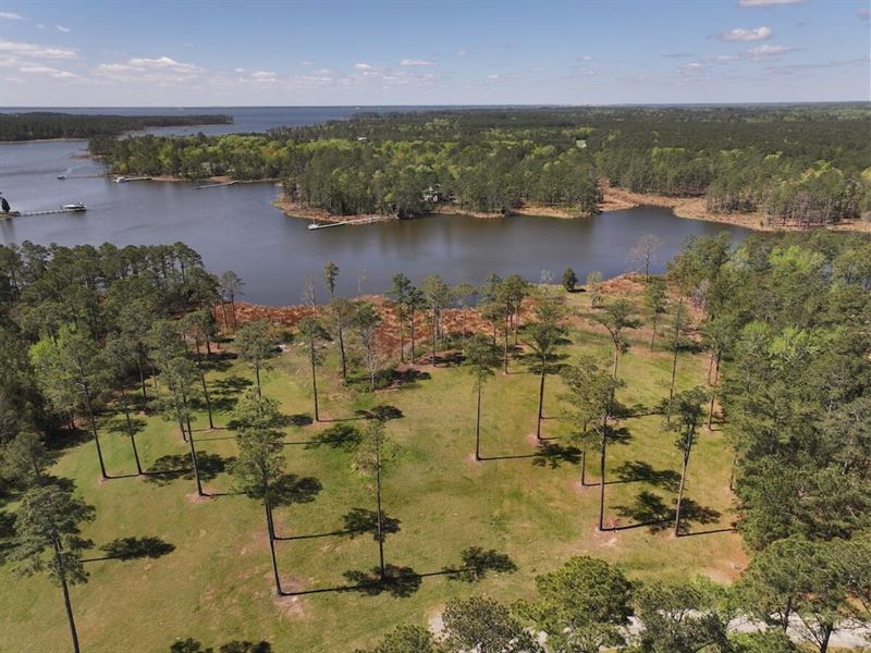 1.88 Acre Waterfront Residential Bu : Belhaven : Beaufort County : North Carolina
