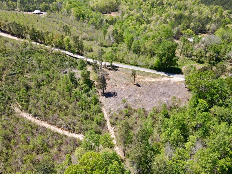 20 Acres in Clay County : Ashland : Clay County : Alabama