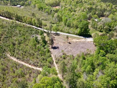 20 Acres in Clay County : Ashland : Clay County : Alabama