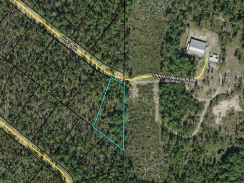 Acre+ in Beautiful Lake Community : Alford : Jackson County : Florida