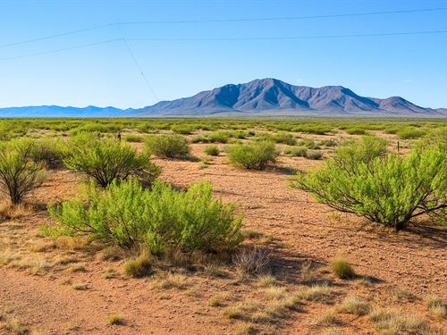 The 2025 Land Opportunity : Deming : Luna County : New Mexico