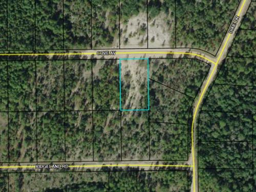 Beautiful Acre+ Amongst Lakes : Marianna : Jackson County : Florida