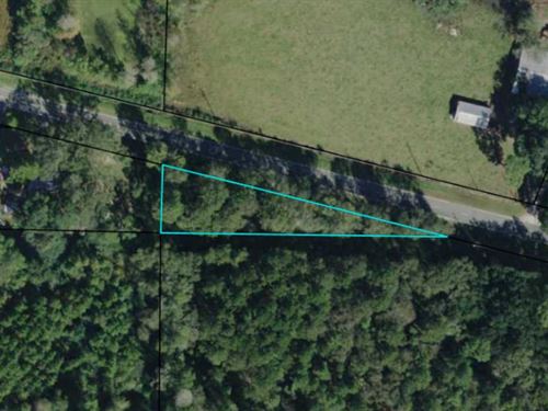Beautiful .4 Acres Off Hwy 164 : Cottondale : Jackson County : Florida