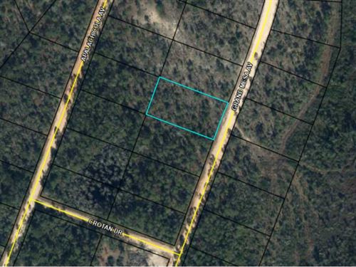 Beautiful Compass Lake Hills Acre : Alford : Jackson County : Florida