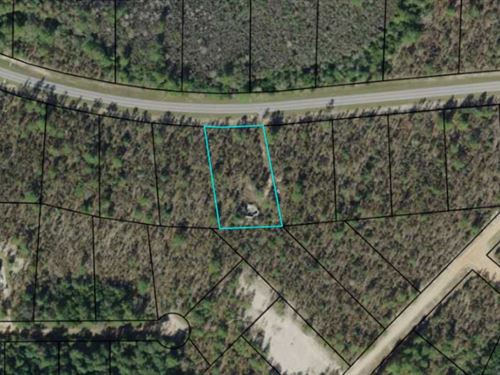 Beautiful Compass Lake 1.22 Acres : Marianna : Jackson County : Florida