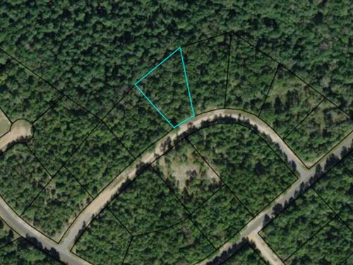 Acre+ Minutes From Compass Lake : Alford : Jackson County : Florida