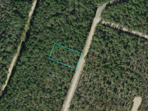 Beautiful Acre+ Lake Community Lot : Alford : Jackson County : Florida