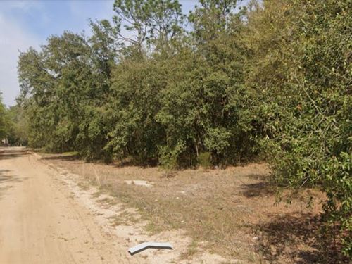 Secluded 0.21 Acre Wooded Oasis : Interlachen : Putnam County : Florida