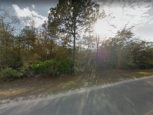 Beautiful Lot, Potential Lake Views : Interlachen : Putnam County : Florida