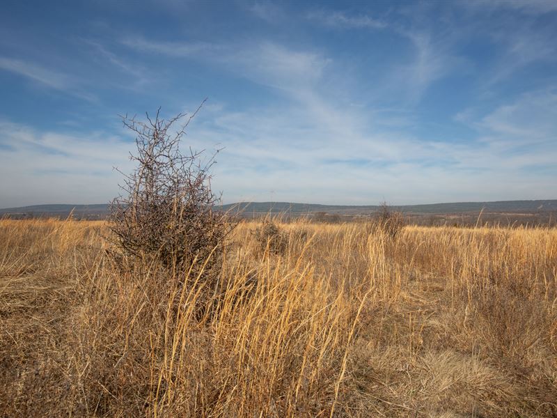 Beautiful Property, Just $999 Down : Pittsburg : Pittsburg County : Oklahoma