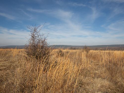 Beautiful Property, Just $999 Down : Pittsburg : Oklahoma