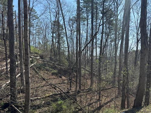 Unrestricted TN Land, Act Fast : Sev : Sevier County : Tennessee