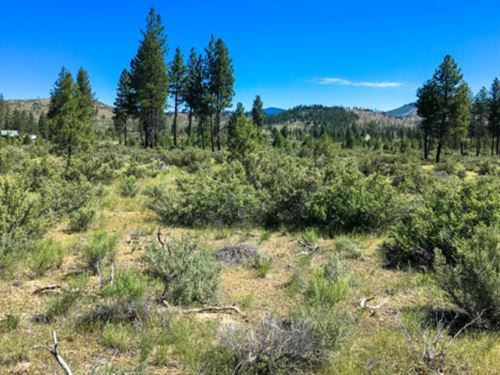 Fly-Fishin' Heaven : Bonanza : Klamath County : Oregon