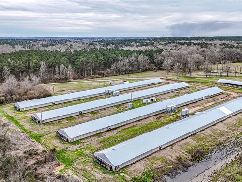 Price Reduced, TW Broiler Farm : Gibsland : Bienville Parish : Louisiana