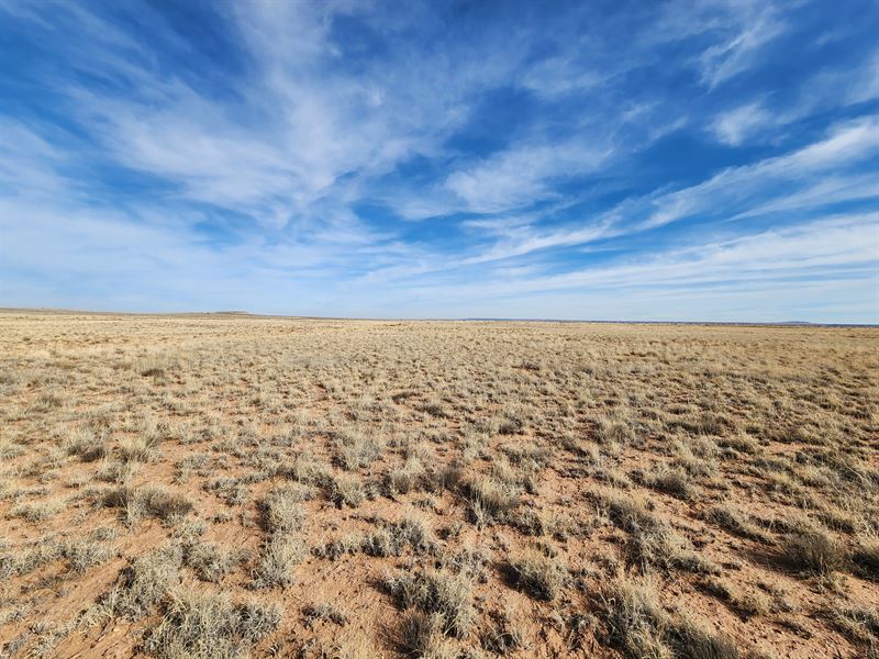 This Won't Last Long : Holbrook : Apache County : Arizona