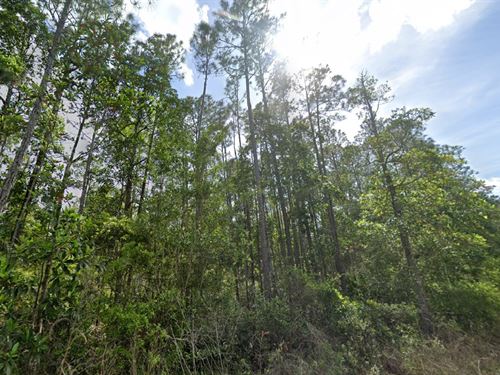 Palatka Escape Just $340/Month : Palatka : Putnam County : Florida