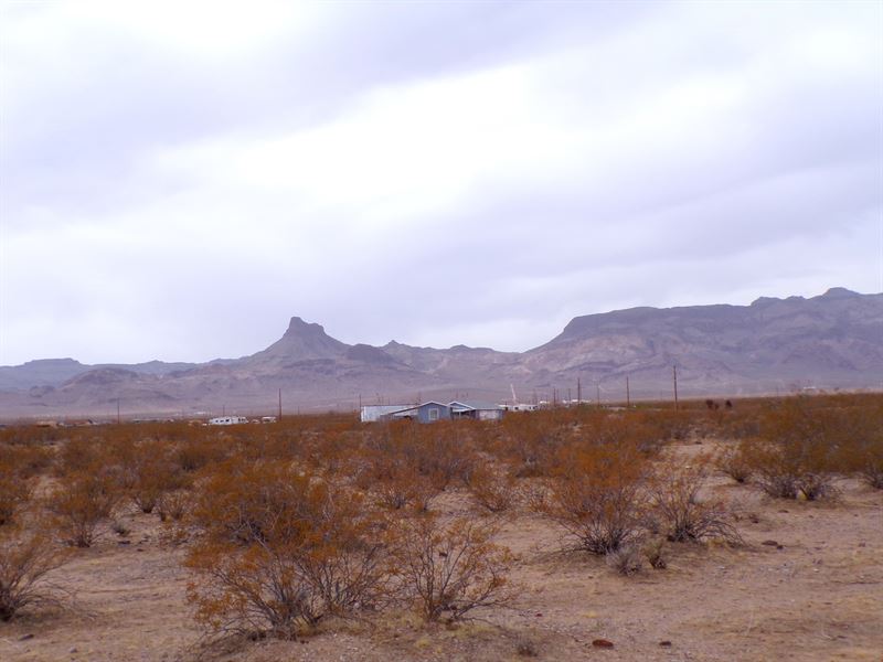 Flat Land in No Flood Zone, No HOA : Kingman : Mohave County : Arizona