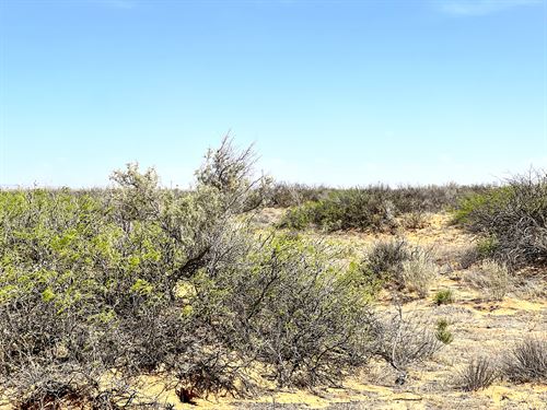 Protect Wealth & Enjoy Outdoors : Agua Dulce : El Paso County : Texas