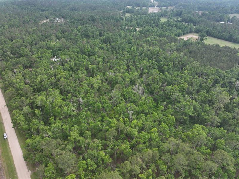 Homestead on Nixon : Madison : Madison County : Florida