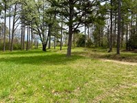 4.66 Acres, City Water & Sewer Elec : Winona : Shannon County : Missouri