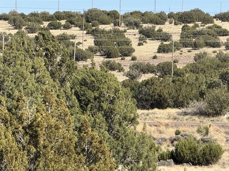 Downtown Concho Lot with Utilities : Concho : Apache County : Arizona