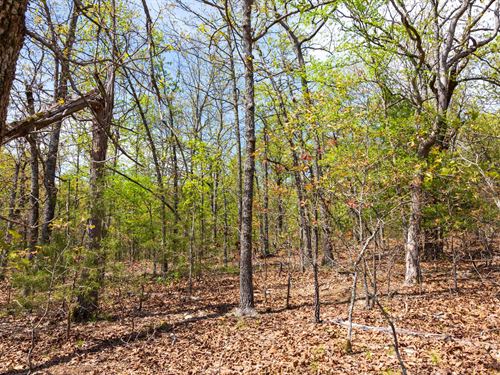 Beautiful Arkansas Land, $999 Down : Ash Flat : Fulton County : Arkansas