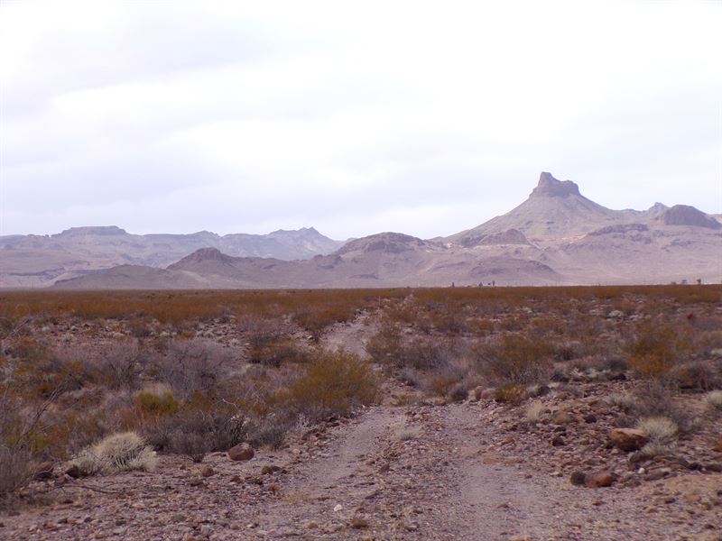 Off-Roading, Hiking, Camping, & RVs : Kingman : Mohave County : Arizona