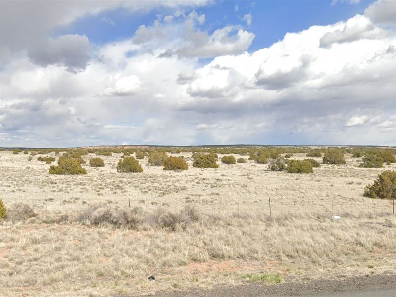 2.47 Acre Just $200/Mo : Concho : Apache County : Arizona