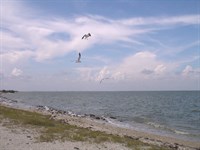 Minutes Away From The Beach, $199 : Magnolia : Calhoun County : Texas