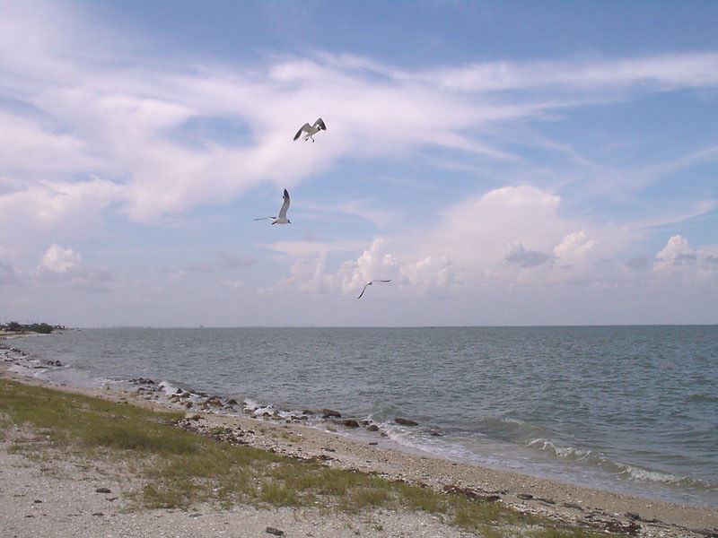 Minutes Away From The Beach, $199 : Magnolia : Calhoun County : Texas