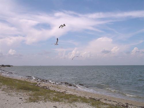 Minutes Away From The Beach, $199 : Magnolia : Calhoun County : Texas