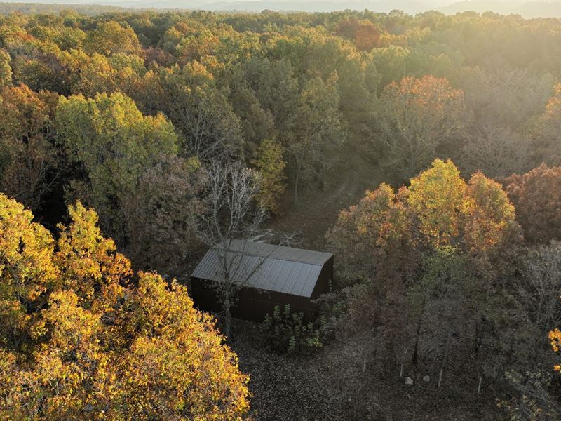 Johnson Ridge Lot 1 and Shop : Tecumseh : Ozark County : Missouri