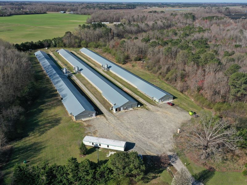 Shearin Egg Farm, Nash County, NC : Whitakers : Nash County : North Carolina