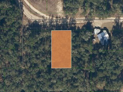 Beautiful 0.25 Acres in Interlachen : Interlachen : Putnam County : Florida