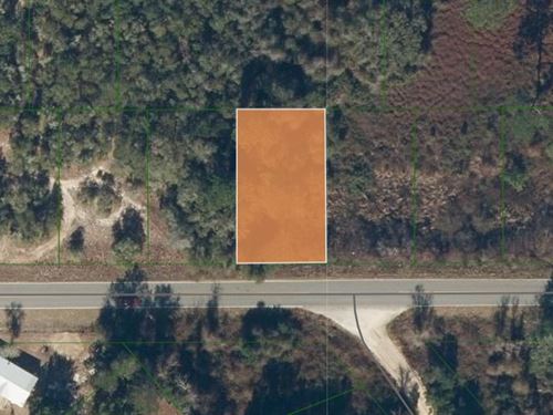 Beautiful .22 Acre Wooded Lot : Interlachen : Putnam County : Florida