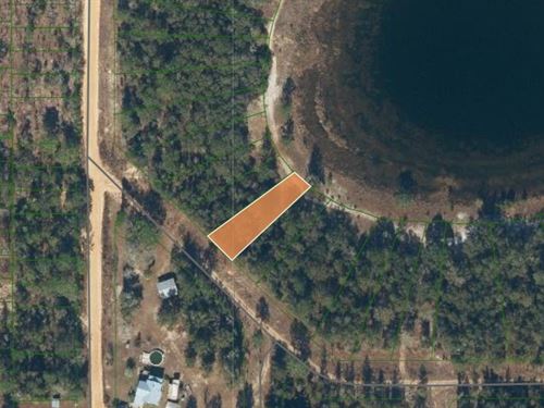 Secluded Waterfront Property : Interlachen : Putnam County : Florida