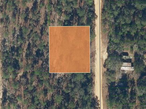.45 Acres of Lightly Wooded Land : Interlachen : Putnam County : Florida
